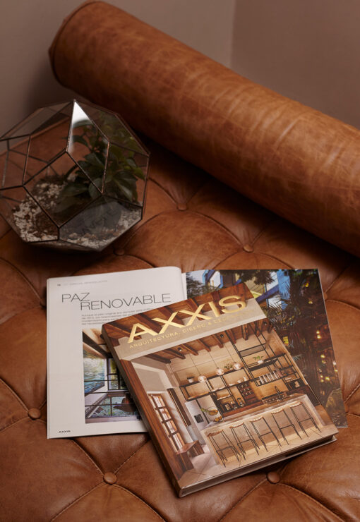 Suscripcion Revista Axxis Jelpit